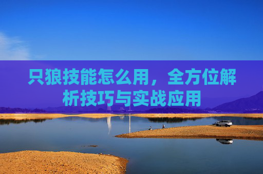 只狼技能怎么用,全方位解析技巧与实战应用 只狼技能怎么用,全方位解析技巧与实战应用