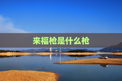 来福枪是什么枪 来福枪是什么枪
