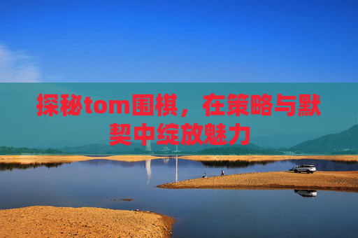 探秘tom围棋，在策略与默契中绽放魅力