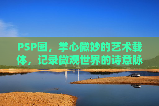 PSP图，掌心微妙的艺术载体，记录微观世界的诗意脉络