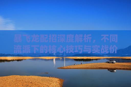 暴飞龙配招深度解析，不同流派下的核心技巧与实战价值