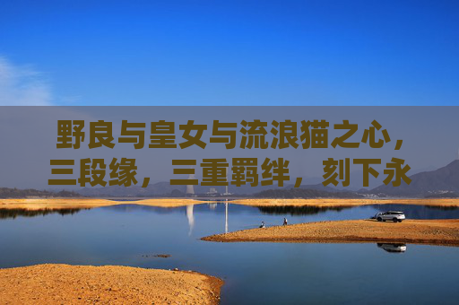 野良与皇女与流浪猫之心，三段缘，三重羁绊，刻下永恒羁绊