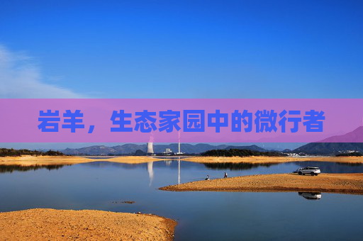 岩羊，生态家园中的微行者