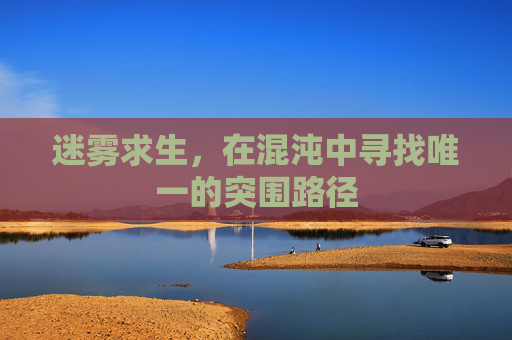 迷雾求生，在混沌中寻找唯一的突围路径