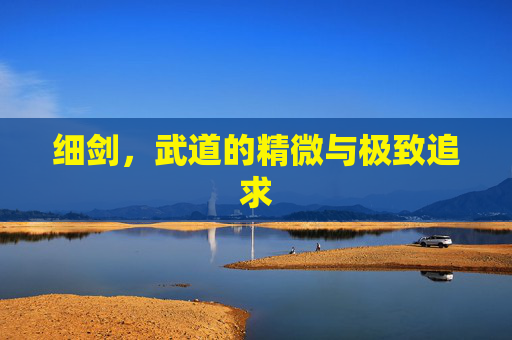 细剑,武道的精微与极致追求 细剑,武道的精微与极致追求