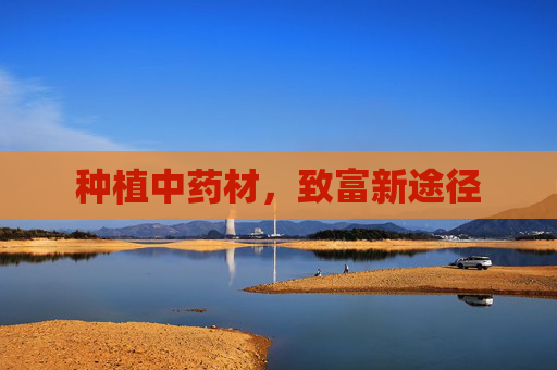 种植中药材，致富新途径
