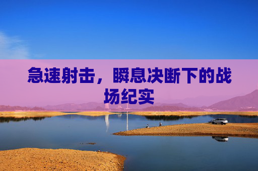 急速射击，瞬息决断下的战场纪实