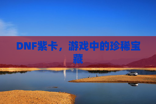DNF紫卡，游戏中的珍稀宝藏