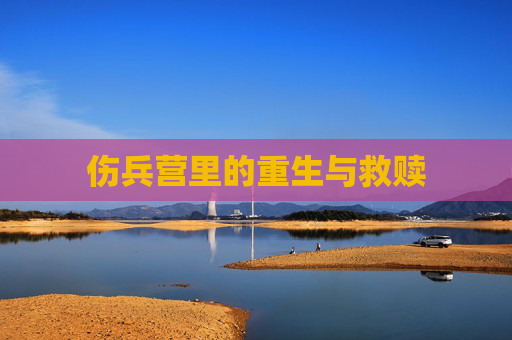 伤兵营里的重生与救赎 伤兵营里的重生与救赎