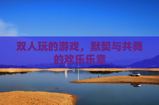 双人玩的游戏，默契与共舞的欢乐乐章