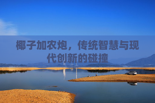 椰子加农炮，传统智慧与现代创新的碰撞