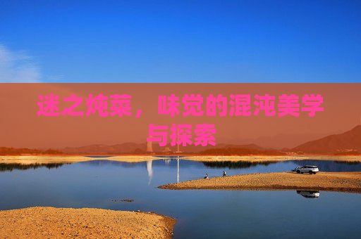 迷之炖菜,味觉的混沌美学与探索 迷之炖菜,味觉的混沌美学与探索
