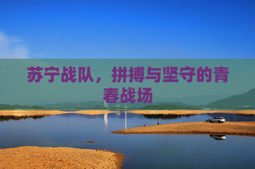 苏宁战队，拼搏与坚守的青春战场