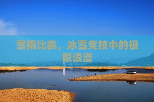 雪橇比赛，冰雪竞技中的极限浪漫