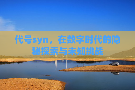 代号syn,在数字时代的隐秘探索与未知挑战 代号syn,在数字时代的隐秘探索与未知挑战