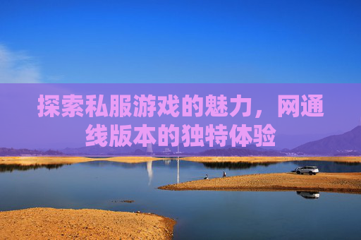 探索私服游戏的魅力,网通线版本的独特体验 探索私服游戏的魅力,网通线版本的独特体验