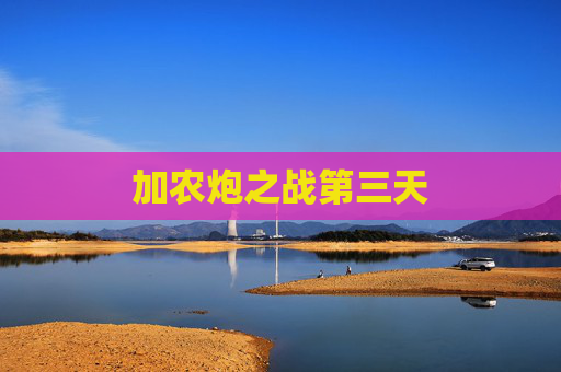 加农炮之战第三天