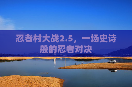 忍者村大战2.5,一场史诗般的忍者对决 忍者村大战2.5,一场史诗般的忍者对决