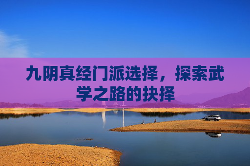 九阴真经门派选择，探索武学之路的抉择