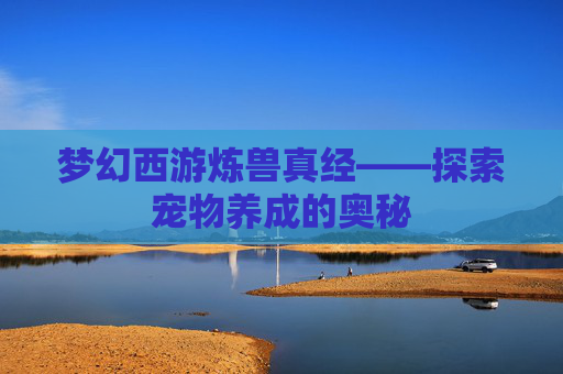 梦幻西游炼兽真经——探索宠物养成的奥秘 梦幻西游炼兽真经——探索宠物养成的奥秘