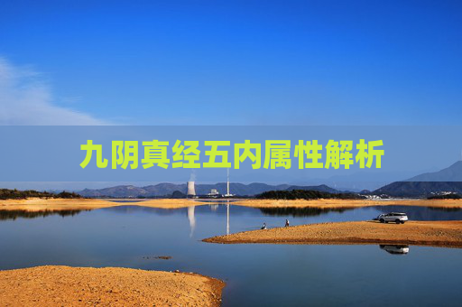 九阴真经五内属性解析 九阴真经五内属性解析