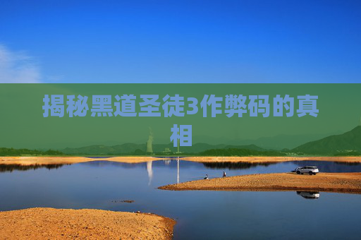 揭秘黑道圣徒3作弊码的真相 揭秘黑道圣徒3作弊码的真相