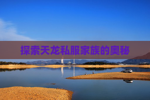 探索天龙私服家族的奥秘 探索天龙私服家族的奥秘