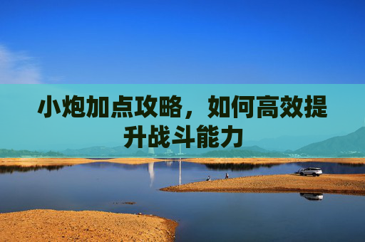 小炮加点攻略，如何高效提升战斗能力