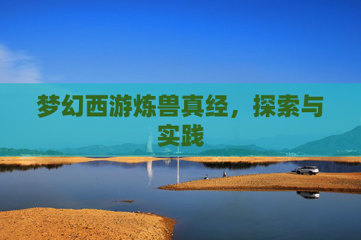 梦幻西游炼兽真经,探索与实践 梦幻西游炼兽真经,探索与实践