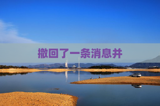 撤回了一条消息并 撤回了一条消息并
