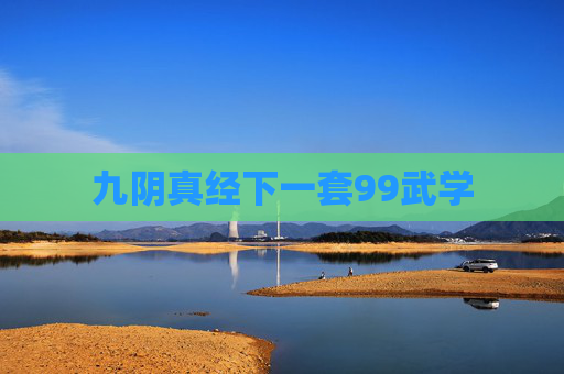 九阴真经下一套99武学