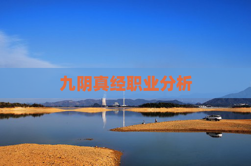 九阴真经职业分析 九阴真经职业分析