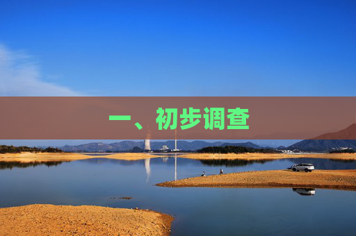 一、初步调查 一、初步调查