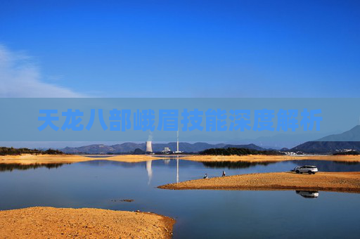 天龙八部峨眉技能深度解析