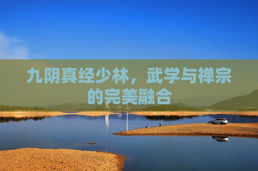 九阴真经少林,武学与禅宗的完美融合 九阴真经少林,武学与禅宗的完美融合