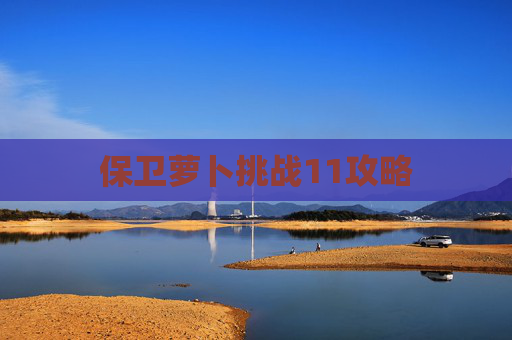 保卫萝卜挑战11攻略 保卫萝卜挑战11攻略