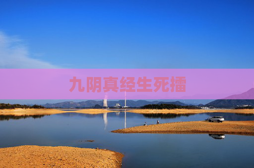 九阴真经生死擂 九阴真经生死擂
