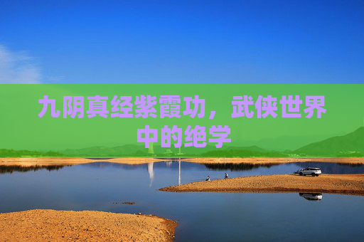 九阴真经紫霞功，武侠世界中的绝学