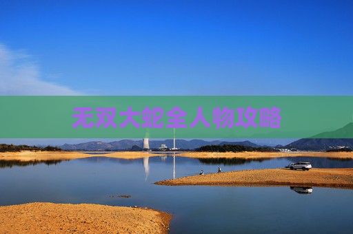 无双大蛇全人物攻略