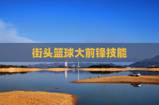 街头篮球大前锋技能 街头篮球大前锋技能