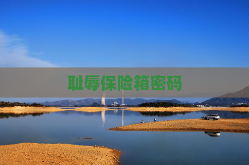 耻辱保险箱密码 耻辱保险箱密码