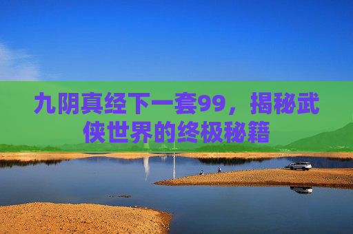 九阴真经下一套99，揭秘武侠世界的终极秘籍