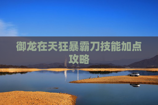 御龙在天狂暴霸刀技能加点攻略