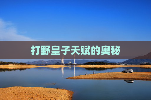 打野皇子天赋的奥秘 打野皇子天赋的奥秘