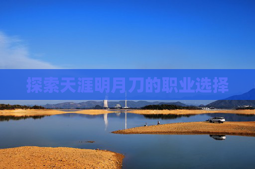 探索天涯明月刀的职业选择 探索天涯明月刀的职业选择