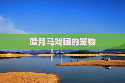 暗月马戏团的宠物 暗月马戏团的宠物