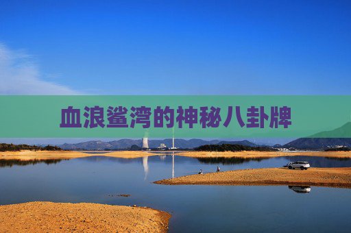 血浪鲨湾的神秘八卦牌