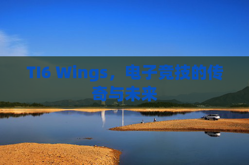 TI6 Wings,电子竞技的传奇与未来 TI6 Wings,电子竞技的传奇与未来