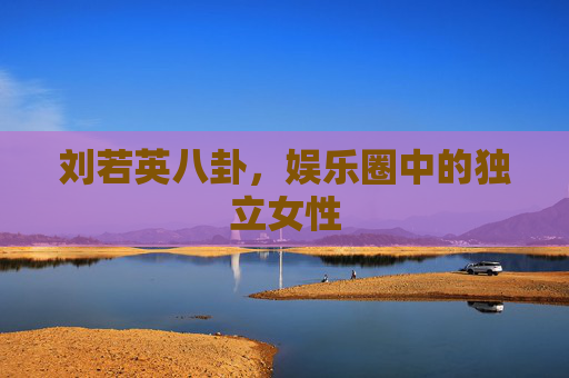 刘若英八卦，娱乐圈中的独立女性