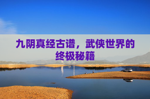 九阴真经古谱，武侠世界的终极秘籍